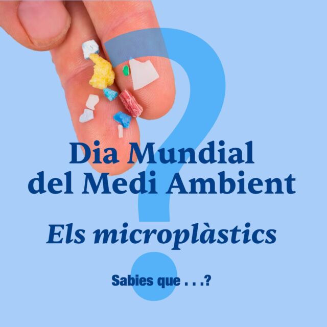 🍃Avui #DiaMundialdelMediAmbient ens unim a la crida de l'ONU per actuar contra la contaminació per plàstics.

💡Perquè la informació ens fa actuar sempre amb més consciència, fem repost de @residus_cat del que ens explica sobre els plàstics i microplàstics. 

Sempre que puguem, utilitzem opcions que no siguin d'usar i llençar, i el màxim de duradores possibles.

#residuzero #reduïmplàstics #reduïmresidus #anoiaverda #sensecontaminacióperplàstics